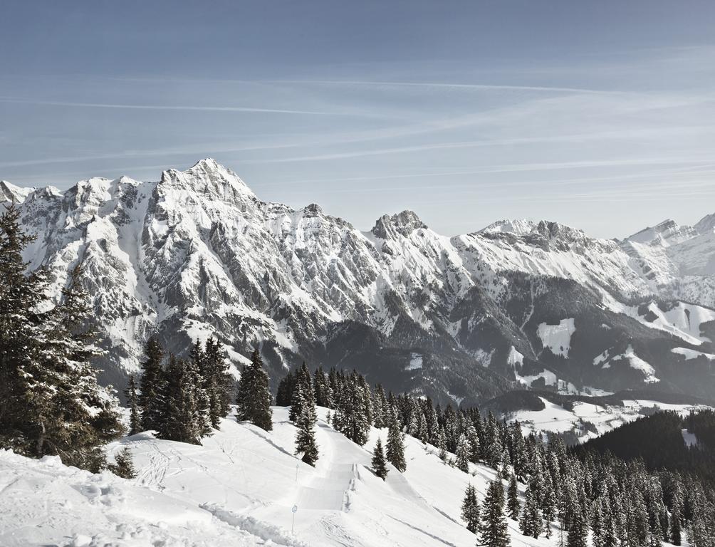 Ferienwohnung John Seymour Leogang Pokój zdjęcie